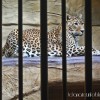 Zoo